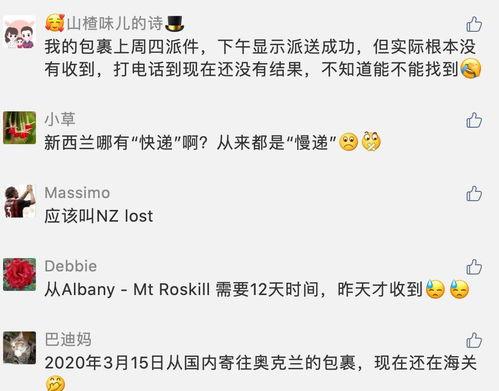 新西兰华人爆料视频最新,揭露当地生活真相与困境